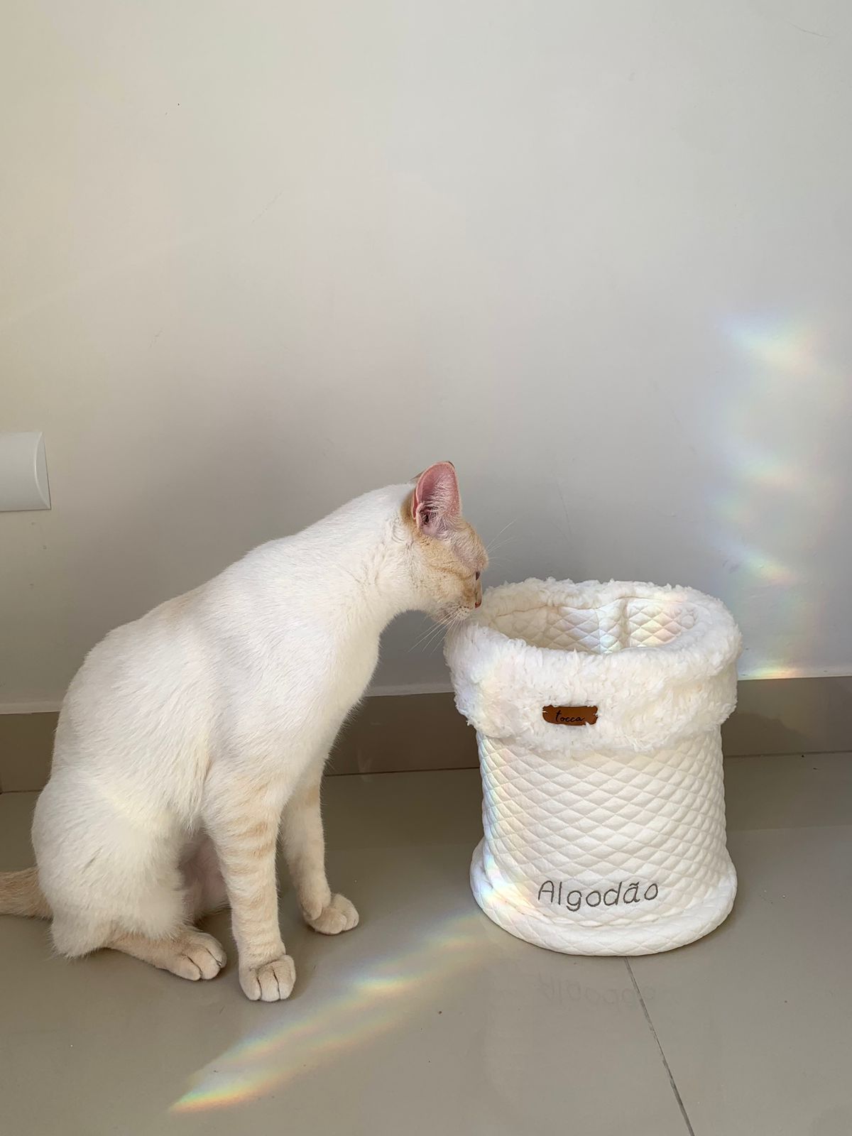 Cesto Pet Linho promocional