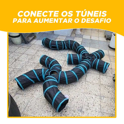 Túnel Para Gato Múltiplas Saídas