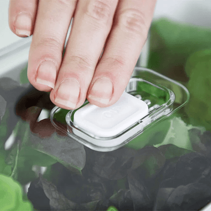 Organizador de Geladeira Clear Fresh com Cesto 2,2 Litros